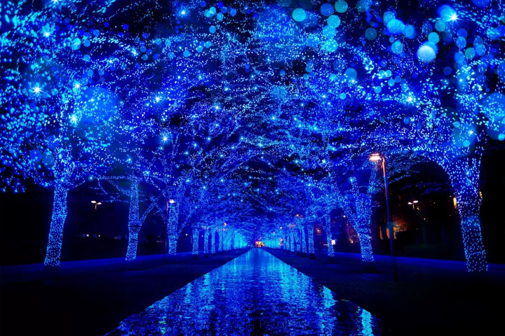 青の洞窟の画像
